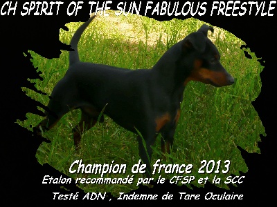 The Sweet Dream Of Cristale - FREESTYLE devient CHAMPION DE FRANCE !!!