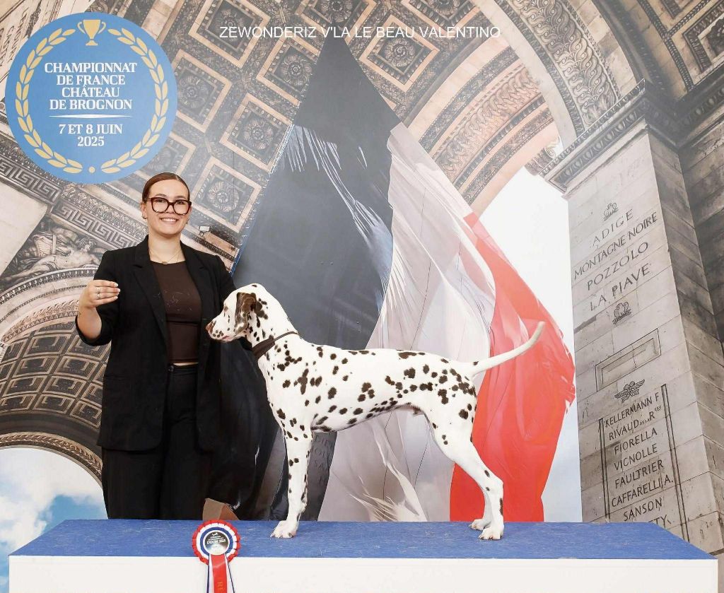 Zewonderiz V'là le beau valentino