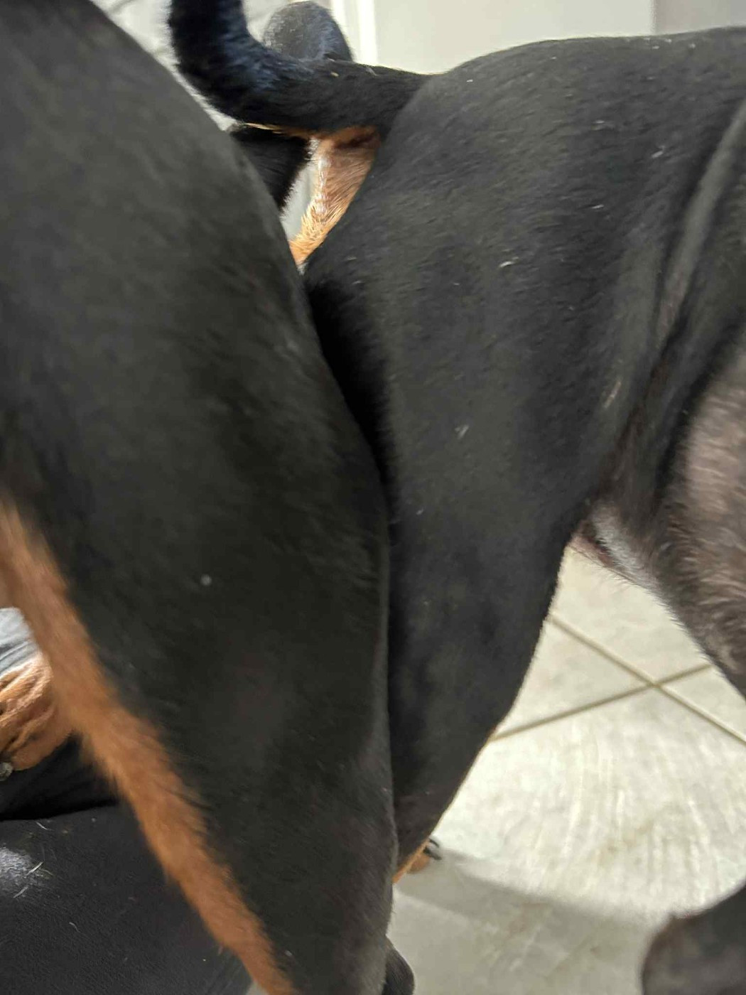 les bébés 2026 sont en cours de preparation ...