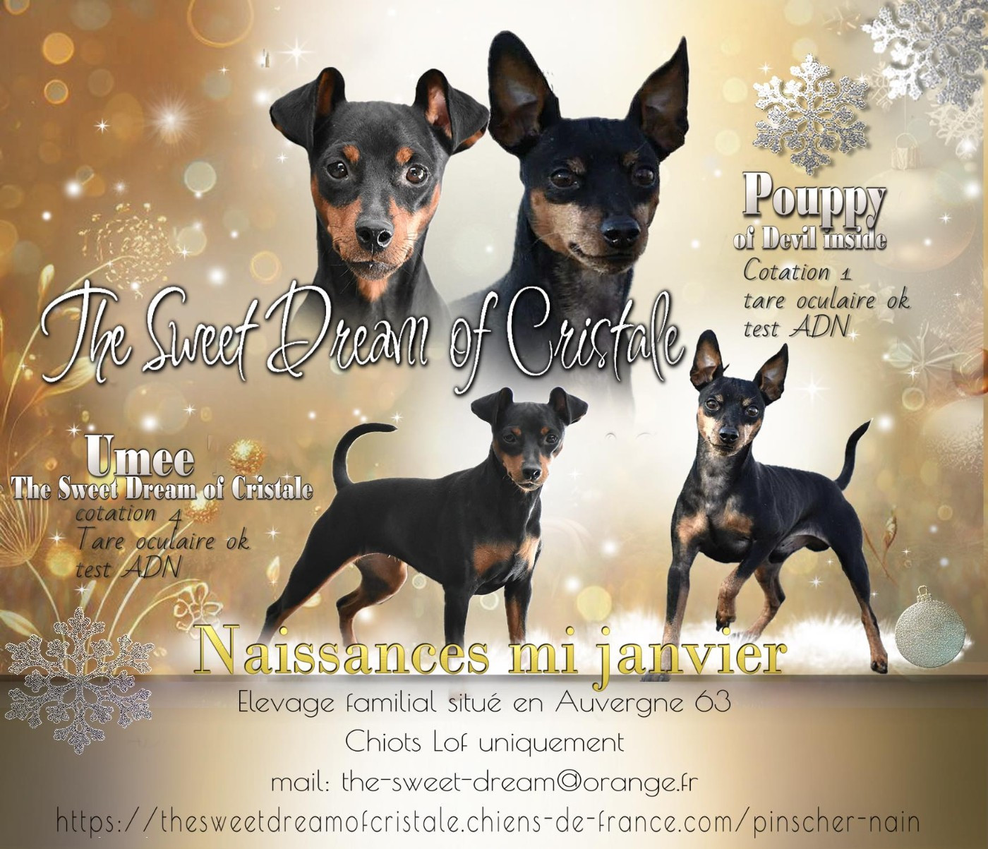 naissance prévue mi janvier